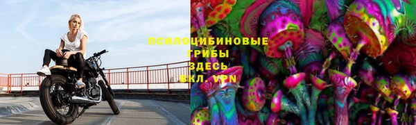 дурь Алзамай
