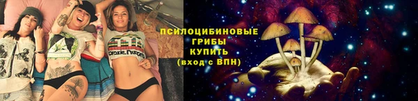 apvp Алексеевка