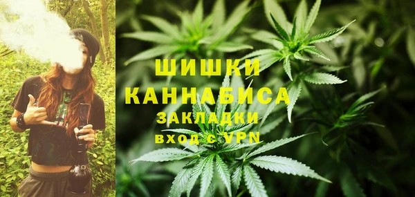 дурь Алзамай