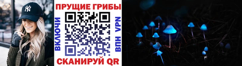Псилоцибиновые грибы ЛСД Поронайск